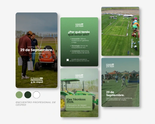 Identidad Visual