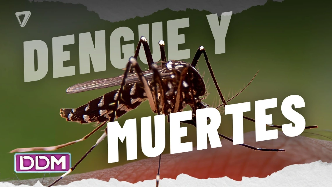 Más de 170 mil casos de dengue confirmados